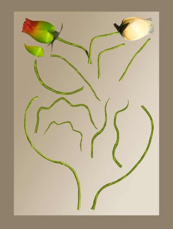 Creation of Kissed by a rose: Step 2